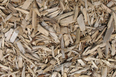 biomass boilers Clapworthy